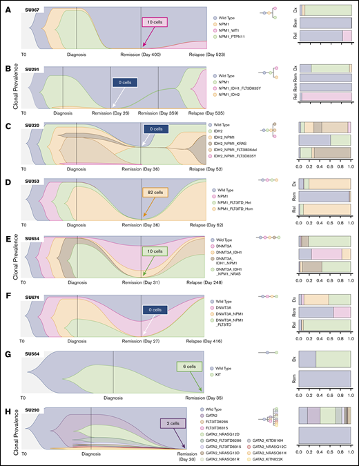 SCS reveals heterogeneous clonal evolution in AML. Fishplots illustrating the diversity in clonal evolution captured by SCS at diagnosis, remission, and relapse. Selected cases from patients who relapsed (A-F) and from patients who remained in remission (G-H). For each remission sample, the total number of cells identified as the dominant clone at relapse (or at diagnosis for SU564 and SU290) are indicated in the box. Stacked bar graphs are displayed on the right to illustrate cell frequencies at the respective time points.