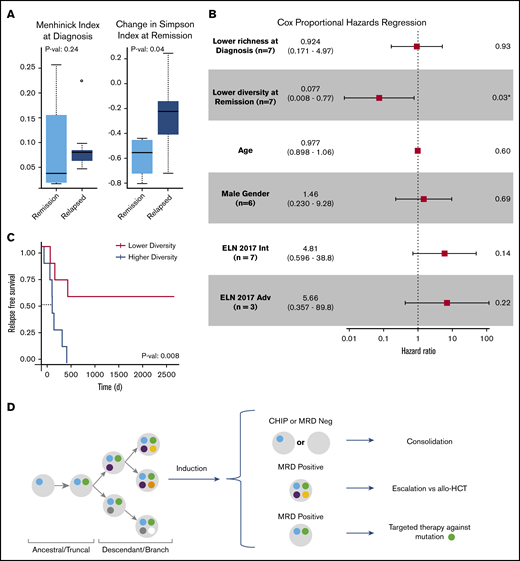Clinical significance of clonal diversity in AML. (A) Comparison of clonal richness quantified by using the Menhinick index and change in clonal diversity from diagnosis to remission quantified according to the Simpson index based on patient response. (The circle indicates an outlier.) (B) Cox proportional regression model comparing clonal richness, change in clonal diversity, age, sex, and the 2017 ELN risk category. The ELN risk categories are compared with favorable risk. P values were calculated based on the Wald test. (C) Kaplan-Meier analysis showing RFS of 14 de novo AML patients stratified according to change in diversity at remission compared with diagnosis. P value was calculated by using the log-rank test. (D) Schema for future single-cell MRD-guided clinical strategies. *P value of .03 is significant (P < .05). Adv, adverse; allo-HCT, allogeneic hematopoietic cell transplant; Int, intermediate.