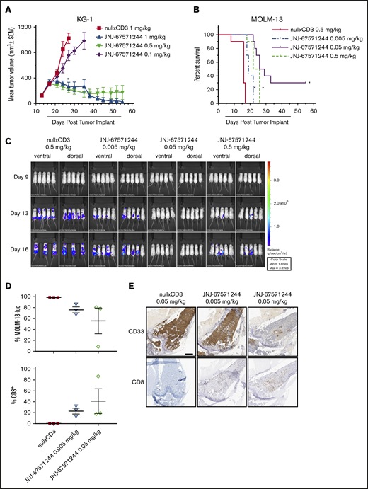 JNJ-67571244 mediates potent tumor activity in vivo in 2 established murine AML models. (A) T cell–engrafted NSG mice bearing established KG-1 tumors were intraperitoneally dosed with JNJ-67571244 at 0.1, 0.5, and 1 mg/kg (denoted by bar below x-axis). Tumor volume was measured twice weekly and the results presented as the mean tumor volume ± standard error of the mean for each group (statistical significance denoted by asterisk). (B) T cell–engrafted NSG mice bearing disseminated MOLM-13-luc cells were intraperitoneally dosed with JNJ-67571244 at 0.005, 0.05, and 0.5 mg/kg (denoted by bar below x-axis). Survival was determined by using Kaplan-Meier survival analysis (statistical significance denoted by asterisks). (C) Same as panel B but here bioluminescence was measured twice weekly, and representative images of live animal imaging of bioluminescence (ventral and dorsal views of n = 3-5 animals) on days 9, 13, and 16 are shown (n = 3 in control group on day 16 due to mortality). (D) Similar to panel B but here mice were dosed with JNJ-67571244 at 0.005 and 0.05 mg/kg for 3 doses. T-cell infiltration in the bone marrow was measured by flow cytometric analysis, and results are presented as percent tumor cells (top panel) or percent CD3+ T cells (bottom panel). (E) Same as panel D but here T-cell infiltration in bone marrow was measured by IHC staining, and results are presented as CD33+ tumor cells (top panel) or CD8+ T cells (bottom panel). Scale bar, 500 μm.