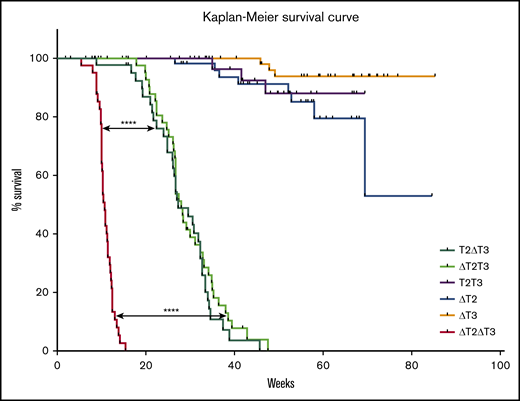 Survival curves of mice with Tet insufficiency. Kaplan-Meier survival curves of ΔT2ΔT3 (Mx1-Cre+Tet2f/fTet3f/f; n = 41); T2ΔT3 (Mx1-Cre+Tet2f/wTet3f/f; n = 51); ΔT2T3 (Mx1-Cre+Tet2f/fTet3f/w; n = 47); T2T3 (Mx1-Cre+Tet2f/wTet3f/w; n = 38); ΔT2 (Mx1-Cre+Tet2f/fTet3wt/wt, n = 61); and ΔT3 (Mx1-Cre+Tet2wt/wtTet3f/f, n = 73) mice. ****P < .0001.