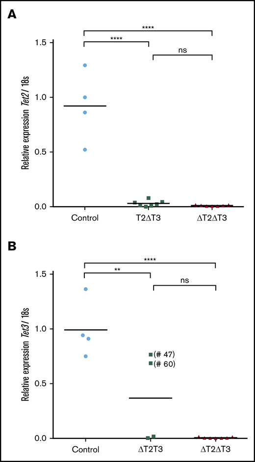Quantitative real-time PCR analysis. This analysis of Tet2 (A) and Tet3 (B) transcript levels in leukemic BM cells from T2ΔT3 (n = 7), ΔT2T3 (n = 4), and ΔT2ΔT3 (n = 7) mice and in whole BM cells from Mx1-Cre–Tet2f/fTet3f/w, Tet2f/wTet3f/f, or Tet2f/fTet3f/f mice (Control; n = 4). The results are normalized to 18S ribosomal RNA and shown relative to the levels seen in the control samples. The samples with presence of residual Tet3 (exon 7-8 region) transcript is denoted within parentheses (#47 and #60). **P < .01, ****P < .0001.