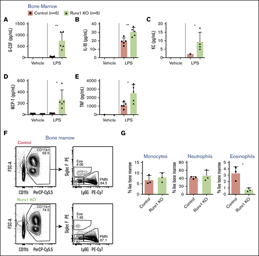 Increased secretion of inflammatory cytokines, chemokines, and growth factors by Runx1 KO BM. (A-E) Absolute quantification by CBA of inflammatory factor levels in the supernatant of whole BM cells stimulated for 8 hours with vehicle or 100 ng/mL LPS. Bar graphs include independent data points. Error bars represent mean ± standard deviation (SD). Five replicates from 4 experiments were performed for each condition with all results above the limit of detection (blue arrowhead) plotted. For all factors except KC (C), a 2-tailed unpaired Student t test was performed comparing the factor concentration between the control and Runx1 KO LPS-treated samples. Because of limited detection of KC in the control LPS-treated sample (C), a 1-sample Student t test was performed comparing the mean of the Runx1 KO LPS-treated sample to a hypothetical mean = 0. (F-G) Representative FACS plots gated on live singlets and corresponding quantification of the frequencies of monocytes, neutrophils, and eosinophils in the BM (n = 3 from 3 experiments, mean ± SD, 2-tailed unpaired Student t test). Eos, eosinophils; FSC-A, forward scatter area; Mo, monocytes; PE, phycoerythrin. *P ≤ .05; **P ≤ .01.