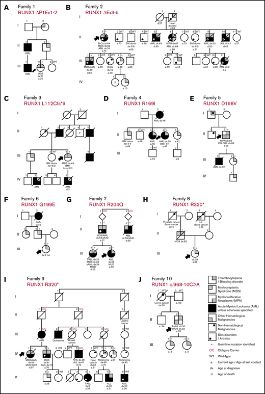 Pedigrees showing the genotypes and phenotypes detected in the new families with germline RUNX1 mutations and inherited HMs. Family 1: RUNX1 ΔP1Ex1-2 (A); family 2: RUNX1 ΔEx3-5 (B); family 3: RUNX1 L112Cfs*9 (C); family 4: RUNX1 R169I (D); family 5: RUNX1 D198V (E); family 6: RUNX1 G199E (F); family 7: RUNX1 R204Q (G); family 8: RUNX1 R320* (H); family 9: RUNX1 R320* (I); family 10: RUNX1 c.968-10C>A (J). Δ indicates a partial gene deletion; *, stop-gain mutation; amino acid changes (p.) are mentioned for missense variants, and the splice-site variant is annotated to the cDNA position. a, age at last date of contact; BM, bone marrow; BMT, bone marrow transplant; BrCa, breast cancer; CLL/SLL, chronic lymphocytic leukemia/small lymphocytic lymphoma; d, age at death; dx, age at diagnosis; fs, frameshift mutation; MUD, matched unrelated donor; Panc cancer, pancreatic cancer; sAML, secondary AML; SCT, stem cell transplant; T-ALL, T-cell acute lymphoblastic leukemia; tMDS, therapy-related MDS; T-NHL, T-cell non-Hodgkin lymphoma.