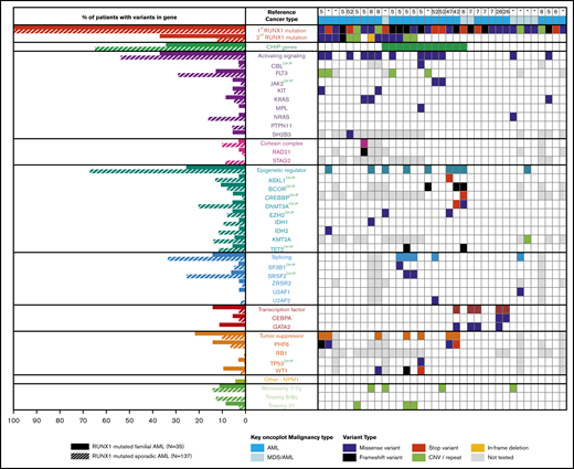 Somatic mutation differences in inherited (germline) and sporadic (somatic) RUNX1 mutated AML. Aggregation of somatic mutations in germline RUNX1 carriers who developed AML as identified through literature review (right). Comparison of the frequency of somatic mutation in myeloid genes in individuals with inherited or sporadic AML (left). *Somatic mutations identified in samples from this study.