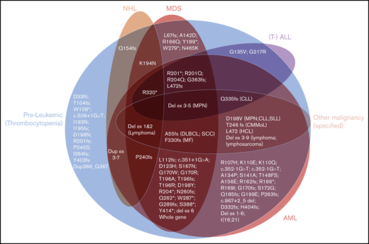 The spectrum of hematological phenotypes reported with different germline RUNX1 mutations. The protein (p.) changes are shown, for frameshift (fs), stop-gain (*), and missense variants. Splice-site variants are shown with the cDNA change (c.), and (partial) gene deletions are abbreviated. CLL/SLL, chronic lymphocytic leukemia/small lymphocytic lymphoma; CMMoL, chronic myelomonocytic leukemia; Del, deletion; DLBCL, diffuse large B-cell lymphoma; Dup, duplication; Ex, Exon; HCL, hairy cell leukemia; MF, myelofibrosis; SCC, squamous cell carcinoma.