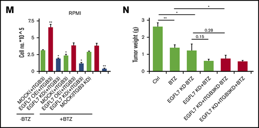 EGFL7 loss in MM cells overrides BTZ resistance (A-B) RPMI8226, U-266, and MM.1S cells were cultured for 24 hours in the presence of BTZ at indicated concentrations. (A) Fold change in EGFL7 gene expression of BTZ-treated MM cells when compared with non-BTZ-treated cultures, as determined by RT-PCR. Transcripts normalized to β-ACTIN. Graphs represent averages from independently prepared templates per condition. (B) Viable MM cells were counted 24 hours after BTZ treatment, using Trypan blue (n = 6/condition). (C) RPMI8226 cells were treated with rec. EGFL7 in the presence/absence of 5 nM BTZ. Cells were counted after 24 hours in culture (n = 6/group). (D) EGFL7 OE and Mock RPMI8226 cells were treated with/without BTZ. Cells were counted after 24 hours (n = 6/group). (E) RPMI Mock cells were cultured with/without neutralizing Abs against EGFL7 in the presence or absence of 10 nM BTZ. Cell proliferation was assessed using the CCK-8 kit after 24 hours in culture (n = 6/condition). (F-G) RPMI8226, U-266, and MM.1S cells were treated with/without BTZ for 24 hours. (F) Fold change in ITGB3 expression in BTZ-treated cells when compared with non-BTZ-treated cells after 24 hours determined by RT-PCR. Gene expression was normalized to β-ACTIN expression. Graphs represent averages from 3 independently prepared templates per condition. Experiments were repeated twice with similar results. (G) Representative FACS histograms showing ITGB3 expression in PI-negative gated cells after being cultured with or without BTZ for 24 hours. (H) Percentage of ITGB3-positive cells in BTZ or non-BTZ cultures, as determined by FACS (n = 6/condition). (I) Mock, EGFL7 KD, and EGFL7 OE RPMI cells were treated with/without BTZ for 24 hours in vitro. Washed RPMI8226 OE, Mock, or KD cells were allowed to adhere to plastic for 4 hours. Adherent cells were quantified using a fluorescence plate reader. Results are shown as percentage adhesion over the input. Experiment was run twice in triplicate (n = 6/condition). (J) Absolute number of GFP+ RPMI8226 cells per well after 4 hours of culture on EGFL7 OE or EGFL7 KD BMEC1 cells. (K) RPMI8226 cells were cultured in the presence or absence of BTZ with/without the integrin inhibitor Cilengitide (Celin; n = 6/group). The number of viable cells was counted after 24 hours. The experiment was run once in triplicate (n = 6/condition). (L) Mock, ITGB3 OE, and ITGB3 KD RPMI cells were treated with/without BTZ. Viable cells were counted using the Trypan exclusion assay (n = 6/group). The experiment was repeated twice. (M) Mock, EGFL7 OE, and EGFL7 KD RPMI cells concomitantly infected with ITGB3 OE or KD plasmids were treated for 24 hours with/without BTZ (n = 6/group). The number of viable cells was determined. The experiment was performed twice. (N) Study treatment scheme. Mock, EGFL7 OE, and EGFL7 KD RPMI MM cells concomitantly infected with/without ITGB3 OE or KD plasmids were injected s.c. into NOD/SCID mice, and tumors were established. Starting on the 25th day (treatment day 1), tumor-carrying mice were randomized according to tumor size. A total of 5 injections of PBS/dimethyl sulfoxide carrier, or BTZ (1 mg/kg) were given twice per week (n = 5 mice per group). Tumor weight was determined on day 36 (n = 5-7/group). Graphs show mean ± SEM. Significance was calculated by Student t test, * P ≤ .05; ** P ≤ .01.