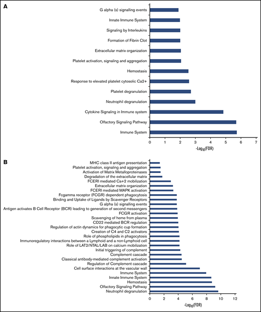 Pathway analysis of dysregulated genes in granulocytes and platelets of PV patients. Pathway enrichment analysis of dysregulated genes in granulocytes (A) and platelets (B) was performed by using the Reactome database. FCERI, Fc epsilon receptor; FDR, false discovery rate; LAB, linker for activation of B cells; LAT1, L-type amino acid transporter 1; MAPK, mitogen-activated protein kinase; MHC, major histocompatibility complex; NTAL, non–T cell activation linker.