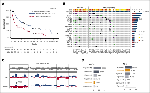Comparison of OS and genomic profile (oncoprint, copy number analysis, and mutation signature) of AH-MCL subgroups: AH-DN vs AH-t. (A) Median survival was significantly longer in AH-DN than in AH-t (48 vs 14 months; P < .001). (B) Oncoprint showing pattern of somatic mutations in AH-DN (n = 31) and AH-t (n = 11) categories. Differences in the 2 groups were not statistically significant. CCND1, NOTCH1, NOTCH2, TP53, NSD2 UBR5, SMARCA4, and RANBP2 mutations were predominant in the AH-DN group, whereas KMT2D, KMT2B, and CACNA1A were predominant in the AH-t group. (C) Copy number gain (blue) and losses (red) are shown between AH-DN and AH-t categories. More frequent copy number losses were noted at chromosome 17p in the AH-DN category. (D) Mutation signature and total mutation burden is shown between the AH-DN and AH-t groups. Mutation signature 6 was predominant in the AH-t group, whereas mutational burden was higher in the AH-DN group compared with the AH-t group (P = not significant).