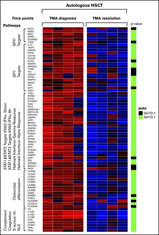 Gene expression changes between clinical time points of active TA-TMA and TA-TMA resolution in 4 autologous HSCT recipients with TA-TMA. The figure shows a section of the heatmap that illustrates the change in complement and interferon gene expression profiles in patients with TA-TMA. “TMA diagnosis” indicates gene expression changes from pretransplant baseline compared with when TA-TMA was diagnosed posttransplant, but before initiating complement-blocking therapy with eculizumab. “TMA resolution” indicates gene expression changes from when TA-TMA was diagnosed compared with clinical resolution of TA-TMA, after completing eculizumab therapy. Genes shown are upregulated at the time of TA-TMA diagnosis (FDR < 0.1) and belong to at least of 1 of the enriched pathway or gene lists shown in Table 1. Green bars on the right side indicate statistically significant changes at the time of TA-TMA resolution (FDR < 0.1). Data indicate that complement pathways are highly upregulated at TA-TMA diagnosis in subjects with TA-TMA and normalize after resolution of TA-TMA.