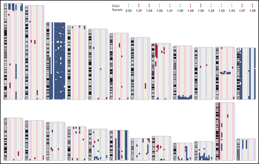 Chromosomal gains and losses in each chromosome detected by cytogenetic microarrays. Chromosomal gains (blue) and losses (red) for each sample. Each sample is indicated by a different color. Only changes >3 Mb are shown.