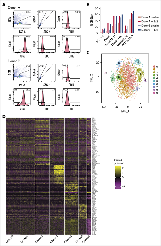 Single-cell sequencing of healthy peripheral blood NK cells. (A) Flow cytometry plots of negatively isolated human blood NK cells from both donors, showing the gating of live singlet cells and then showing the expression of CD14 (monocyte marker). On CD14− cells, expression of CD56 (NK cell marker), CD3 (T-cell marker), and CD19 (B-cell marker) is shown. (B) Total percentage of CD107a+ cells on negatively isolated bulk NK cells after a 5-hour culture, alone (NK only) or with the B lymphoblast cell line Daudi; Daudi cells transfected to express major histocompatibility (MHC) class I–related chain A (Daudi-MICA) or β2m (Daudi-β2m); or rituximab-coated Daudi (Daudi-RTX) or NK cells alone stimulated with phorbol myristate acetate/ionomycin (PMA/IONO). NK cells from both donors are shown separately, with and without IL-2 treatment. (C) tSNE, 2-dimensional plot of 8462 individual NK cells, with clusters (0-9) identified using unsupervised hierarchical clustering. (D) Heat map of top 20 markers distinguishing each NK cell cluster (n = 120 unique genes), identified by differential expression analysis and showing a maximum of 500 genes per cluster, excluding clusters 5, 7, and 9. Cells are plotted in columns, and genes are shown in rows. Gene expression is color coded, using a scale based on z-score distribution. (E) Same tSNE plot as shown in panel C (but excluding clusters 5, 7, and 9), showing the expression of the top 2 markers which distinguish each cluster. Expression is color coded from blue (low) to red (high) and cells positively expressing a marker are brought toward the front of the plot.