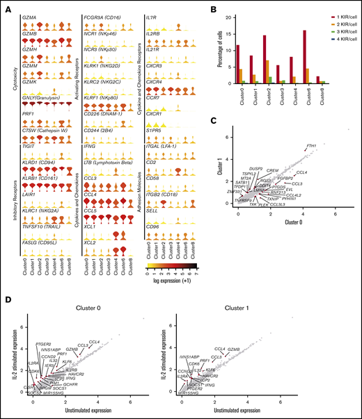 Among CD56dim CD16+ NK cells is a distinct subset of CD57+ NK cells. (A) Expression distribution of each cluster (violin plots) using unstimulated cells only, looking at canonical human NK cell markers, grouped by cytotoxicity, inhibitory and activating receptors, cytokines and chemokines, cytokine and chemokine receptors, and adhesion molecules. The shape represents the distribution of cells based on their log(+1) expression values. The color scale represents the mean expression. (B) Percentage of individual NK cells expressing 1, 2, 3, or 4 different KIRs across each cluster, calculated using the full data set of 8462 cells. (C) Comparison of average gene expression values for cluster 0 and cluster 1 in unstimulated cells only. Genes with fold change >0.4 are highlighted. (D) Comparison of average gene expression values for clusters 0 and 1 between unstimulated and IL-2–stimulated cells. Genes with a fold change >0.5 and Bonferroni-corrected P < .05 are highlighted. (E) Selected GO terms using all conserved markers upregulated or downregulated within the individual clusters with an adjusted P < .05. (F) Dot plot (left) of selected markers of interest within unstimulated cells only across the different clusters. The size of the dot represents the percentage of cells expressing the markers, and the color encodes the average scaled expression values. Heat map (right) of the same markers of interest within unstimulated cells only. Clusters are plotted in columns, and genes are shown in rows. Gene expression is color coded using average scaled expression values per cluster, based on a z-score distribution, ranging from low expression (purple) to high expression (yellow). (G) Comparison of average gene expression values for cluster 2 between unstimulated and IL-2–stimulated cells. Genes with a fold change >0.5 and Bonferroni-corrected P < .05 are highlighted. (H) Selected GO terms using all conserved markers upregulated or downregulated within this cluster with an adjusted P < .05.