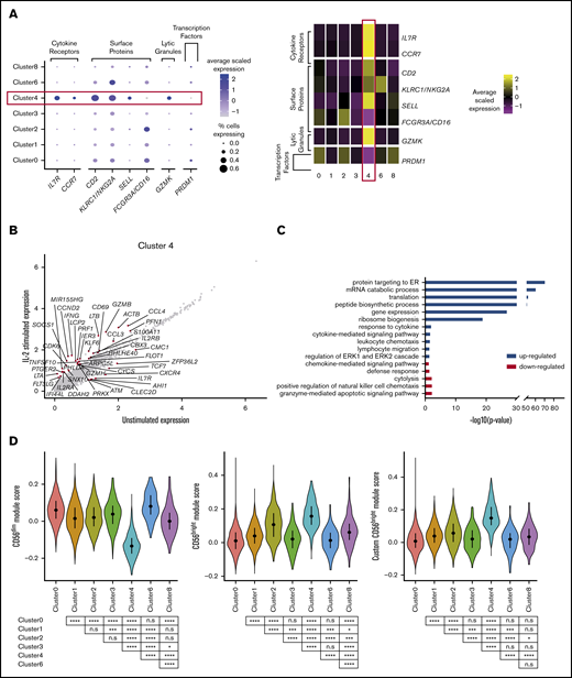 CD56bright NK cells respond most potently to IL-2 stimulation. (A) Dot plot (left) of selected markers of interest within unstimulated cells only (columns) across the different clusters (rows). The size of the dot represents the percentage of cells expressing the markers, and the color encodes the average scaled expression values. Heat map (right) of the same markers of interest within unstimulated cells only. Clusters are plotted in columns, and genes are shown in rows. Gene expression is color coded using average scaled expression values per cluster, based on a z-score distribution, ranging from low expression (purple) to high expression (yellow). (B) Comparison of average gene expression values for cluster 4 between unstimulated and IL-2–stimulated cells. Genes with a fold change >0.5 and Bonferroni-corrected P < .05 are highlighted. (C) Selected GO terms using all conserved markers upregulated or downregulated within this cluster with an adjusted P < .05. (D) Module scores for each NK cell cluster at the single-cell level, defined using the top 100 markers from bulk expression profiles of sorted CD56dimCD16+ and CD56brightCD16− NK cells.47 Module scores were calculated for unstimulated cells only. CD56dim module score (left), CD56bright module score (middle), and custom CD56bright module score, excluding CTSW, DUSP1, JUN, FOS and CD69 (right). Violin plots represent the distribution of the module scores for each cluster, and the error bars represent the median and interquartile range. One-way analysis of variance with Bonferroni’s multiple comparison. Nonsignificant (n.s) P > .05; *P < .03; **P < .02; ***P < .0002; ****P < .0001.