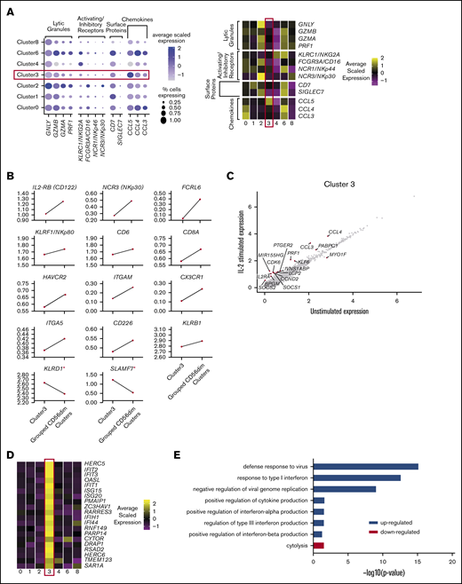 A fraction of peripheral blood NK cells is a population of type I IFN-responding cells. (A) Dot plot (left) of selected markers of interest within unstimulated cells only (columns) across the different clusters (rows). The size of the dot represents the percentage of cells expressing the markers, and the color encodes the average scaled expression values. Heat map (right) of same markers of interest within unstimulated cells only. Clusters are plotted in columns, and genes are shown in rows. Gene expression is color coded using average scaled expression values per cluster, based on a z-score distribution, ranging from low expression (purple) to high expression (yellow). (B) Comparison of average gene expression values (calculated in unstimulated cells only) for cluster 3 and grouped CD56dim clusters (clusters 0, 1, and 2). The markers shown differentiate CD56neg and CD56dim blood NK cells by flow cytometry.48 *Markers that are not consistent with flow cytometry. (C) Comparison of average gene expression values for cluster 3 between unstimulated and IL-2–stimulated cells. Genes with a fold change >0.5 and Bonferroni-corrected P < .05 are highlighted. (D) Heat map (right) of top 20 markers which define cluster 3 within unstimulated cells only. Format and expression scale are as described for the heat map in panel A. (E) Selected GO terms using all conserved markers upregulated or downregulated within this cluster with an adjusted P < .05.