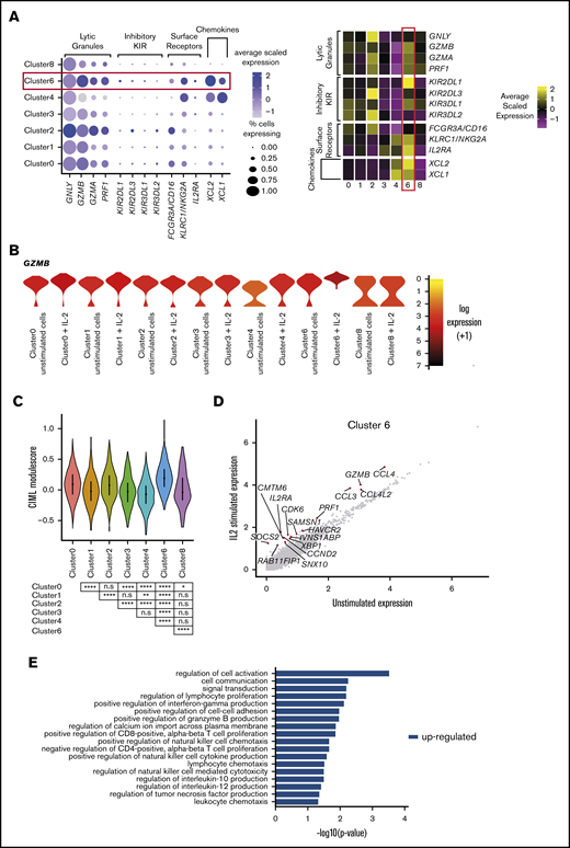 A small fraction of peripheral blood NK cells displays a cytokine-induced memory-like phenotype. (A) Dot plot (left) of selected markers of interest within unstimulated cells only (columns) across the different clusters (rows). The size of the dot represents the percentage of cells expressing the markers, and the color encodes the average scaled expression values. Heat map (right) of the same markers of interest within unstimulated cells only. Clusters are plotted in columns, and genes are shown in rows. Gene expression is color coded, using average scaled expression values per cluster, based on a z-score distribution, ranging from low expression (purple) to high expression (yellow). (B) Expression distribution of each cluster and stimulation condition (violin plots) specifically of granzyme B (GZMB) expression. The shape represents the distribution of cells based on their log(+1) expression values. The color scale represents the mean expression. (C) Module score for each NK cell cluster at the single-cell level, defined using CIML markers.28 Module scores were calculated for unstimulated cells only. Violin plots represent the distribution of the module scores for each cluster, and the error bars represent median and interquartile range. One-way analysis of variance with Bonferroni’s multiple comparison. Nonsignificant (n.s) P > .05; *P < .03; **P < .02; ***P < .0002; ****P < .0001. (D) Comparison of average gene expression values for cluster 6 between unstimulated and IL-2–stimulated cells. Genes with a fold change >0.5 and Bonferroni-corrected P < .05 are highlighted. (E) Selected GO terms using all conserved markers upregulated within this cluster with an adjusted P < .05. No markers were downregulated within this cluster at this significance threshold.