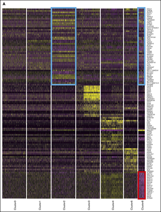 A small, novel population of blood NK cells exhibits loss of ribosomal expression. (A) Same heat map of the top 20 markers distinguishing each NK cell cluster as shown in Figure 1D, highlighting the similarities (blue boxes) and dissimilarity (red box) between clusters 2 and 8. Cells are plotted in columns, and genes are shown in rows. Gene expression is color coded using a scale based on z-score distribution, ranging from low expression (purple) to high expression (yellow). (B) Dot plot (left) of 20 top markers associated with cluster 8 within unstimulated cells only (columns) across the different clusters (rows). The size of the dot represents the percentage of cells expressing the markers, whereas the color encodes the average scaled expression values. Heat map (right) of the same markers of interest within unstimulated cells only. Clusters are plotted in columns, and genes are shown in rows. The gene expression scale is as in panel A. (C) Module score analysis for each NK cell cluster at the single-cell level, defined using markers of mammalian autophagy.63 Module scores were calculated for unstimulated cells only. Violin plots represent the distribution of the module scores for each cluster and the error bars represent median and interquartile range. One-way analysis of variance with Bonferroni’s multiple comparison. Nonsignificant (n.s) P > .05; *P < .03; **P < .02; ***P < .0002; ****P < .0001. (D) tSNE plot (excluding clusters 5, 7, and 9), showing the expression of selected autophagy markers within the full data set. Expression is color coded from blue (low) to red (high) and cells positively expressing a marker were brought toward the front of the plot. (E) Selected GO terms using all conserved markers downregulated within this cluster with an adjusted P < .05. No markers were upregulated within this cluster at this significance threshold. (F) tSNE, 2-dimensional plot of 1000 NK cells from the unstimulated condition (500 randomly selected from each donor). The analysis was performed using the first 15 principle components and a resolution of 0.4. The top markers positively associated with each cluster are highlighted. (G) The same tSNE plot as in panel F) but cells are color coded according to the cluster identities assigned using the full data set of 8462 cells.