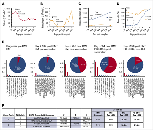 Clonal expansion of CD8+ lymphocytes temporally associated with immunization and graft dysfunction in a patient with AA. (A) Time course of platelet count showing decreasing platelet counts postimmunization and stabilization of thrombocytopenia after an increase in cyclosporine (CsA) dose. (B) Time course of absolute reticulocyte count, demonstrating a precipitous decline in the immediate postimmunization period, with an improvement in reticulocytopenia following an increase in cyclosporine dose. (C) Time course of CD4+ and CD8+ lymphocyte counts showing a selective expansion of CD8+ T lymphocytes postvaccination. (D) Time course of the percentage of donor chimerism in total PB and CD3+ T lymphocytes, showing poor mixed CD3 chimerism, with improved chimerism after treatment with donor lymphocyte infusion (DLI). (E) Frequency histograms of the 10 top productive TCRβ rearrangements, as determined by bulk NGS sequencing of the TCR Vβ gene in the patient’s bone marrow (BM) at diagnosis before stem cell transplantation (pre BMT), at day +104 posttransplant prior to vaccination (Vacc.), at day +250 posttransplant after vaccination, and in sorted PB CD8+ T lymphocytes at day +354 posttransplant after vaccination. The patient was subsequently treated with donor lymphocyte infusion (DLI), with improvement in the percentage of donor chimerism, as shown in panel D, and diminution of the top expanded clones, as shown in PB CD8+ lymphocytes on day +750 posttransplant. The pie charts illustrate the proportion of the top 2 expanded clones (red) relative to all of the remaining clones (blue). The total number of remaining productive TCR Vβ gene rearrangements identified by bulk NGS are listed (n). (F) The 2 dominant CD8+ T lymphocyte clonotypes, with their corresponding frequencies pre- and postvaccination. Frequencies in BM at diagnosis, at day +104 posttransplant prevaccination, at day +250 posttransplant after vaccination, and in sorted PB CD8+ T lymphocytes at day +354 posttransplant were obtained by bulk TCRβ sequencing. TCRα pairing was determined through 10× genomics single-cell immune profiling of sorted PB CD8+ T lymphocytes on day +354 posttransplant.