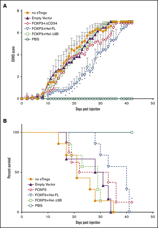 FOXP3+Hel-FL eTregs delay disease progression in a xenogeneic GVHD murine model. NSG mice aged 8 to 12 weeks were sublethally irradiated. The next day, the mice were injected retro-orbitally with 107 human PBMCs alone (n = 8), with 107 human PBMCs + 5 × 106 empty vector control cells (n = 6), 107 human PBMCs + 5 × 106 FOXP3 eTregs (n = 8), 107 human PBMCs + 5 × 106 FOXP3+HEL-FL eTregs (n = 7), or 107 human PBMC + 5 × 106 FOXP3+Hel-Δ3B eTregs (n = 7). (A) GVHD score. *P ≤ .05 compared with no eTregs based on a 1-tailed Mann-Whitney U test for each time point. (B) Kaplan-Meier curve of survival. Death was marked when the GVHD score was ≥7. The data shown are the aggregated data from 5 separate experiments that used T cells from 4 different donors. *P ≤ .05 compared with no eTregs as determined by using the log-rank test. PBS, phosphate-buffered saline.
