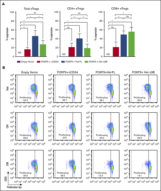 FOXP3+Hel-FL and FOXP3+Hel-Δ3B differentially mediate CD4+and CD8+eTreg suppression of T-cell proliferation. Labeled autologous target Tconv cells were cocultured at a 1:1 ratio with each eTreg cell strain or empty vector control cells with no stimulation or stimulation with anti-CD3 and anti-CD28 coated beads. After 96 hours, proliferation of target cells (CD19– eFluor670+) was assayed via flow cytometry. (A) Percent suppression for each eTreg cell strain. Cells were plated as follows: 5 × 104 target Tconvs alone, 5 × 104 target Tconvs + 5 × 104 empty vector control cells, 5 × 104 target Tconvs + 5 × 104 FOXP3 eTregs, 5 × 104 target Tconvs + 5 × 104 FOXP3+Hel-FL eTregs, or 5 × 104 target Tconvs + 5 × 104 FOXP3+ Hel-Δ3B eTregs. Tregs were either both CD4+ and CD8+ (n = 5 for each condition), CD4+ only (n = 7), or CD8+ only (n = 6). T cells from 4 different donors were used. Negative percent suppression was plotted as 0% suppression. (B) Representative dot plots of responder cell proliferation 96 hours after coculture with eTregs or empty vector control. *P ≤ .05 in each comparison based on a 1-tailed Wilcoxon test. ND, not detectable; ns, not statistically significant.