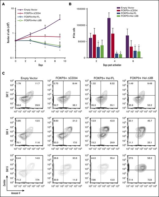 Expression of FOXP3, FOXP3+Hel-FL, and FOXP3+Hel-Δ3B reduces cell expansion and survival. (A) Cell counts of eTregs growing in IL-2–supplemented media over 9 days. n = 4 for each group from 4 different donors. *P ≤ .05 compared with empty vector control based on a 1-tailed Mann-Whitney U test for each time point. (B) Numbers of live (Zombie Green and Annexin V negative) eTregs after stimulation for 2, 4, and 6 days with anti-CD3 and anti-CD28 plate-bound antibody. Cells were plated as follows: 2 × 105 empty vector control cells (n = 5), 2 × 105 FOXP3 eTregs (n = 5), 2 × 105 FOXP3+HEL-FL eTregs (n = 6), or 2 × 105 FOXP3+Hel-Δ3B eTregs (n = 6). T cells from 4 to 6 different donors were used. *P ≤ .05 compared with empty vector control based on a 1-tailed Mann-Whitney U test. (C) Representative contour plots of activation-induced cell death in eTregs or empty vector control cells after stimulation for 2, 4, and 6 days.