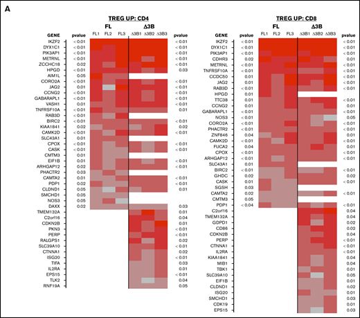 Hel-FL or Hel-Δ3B coexpression with FOXP3 mediates different gene transcription of Treg signature genes in CD4+and CD8+eTregs. Heat maps comparing expression of Treg signature genes that are upregulated in Tregs (TREG UP) (A) or downregulated in Tregs (TREG DOWN) (B) compared with Tconv. Each heat map shows differential expression of genes in each of the 3 donors for FOXP3 vs FOXP3+Hel-FL (FL, donors FL1-FL3) and FOXP3 vs FOXP3+Hel-Δ3B (Δ3B, donors Δ3B1-Δ3B1) in both CD4+ and CD8+ eTregs as indicated. We first identified the subset of genes that had a nominal, uncorrected P < .05 in each indicated eTreg comparison based on change in expression of the TREG UP and TREG DOWN genes. Indicated P values are based on average change in gene expression for each eTreg comparison. For each cell in the heat map, the difference of cpm values between 2 strains of cell for 1 subject was calculated and divided by the average cpm value of that gene in all 3 subjects.