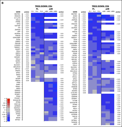 Hel-FL or Hel-Δ3B coexpression with FOXP3 mediates different gene transcription of Treg signature genes in CD4+and CD8+eTregs. Heat maps comparing expression of Treg signature genes that are upregulated in Tregs (TREG UP) (A) or downregulated in Tregs (TREG DOWN) (B) compared with Tconv. Each heat map shows differential expression of genes in each of the 3 donors for FOXP3 vs FOXP3+Hel-FL (FL, donors FL1-FL3) and FOXP3 vs FOXP3+Hel-Δ3B (Δ3B, donors Δ3B1-Δ3B1) in both CD4+ and CD8+ eTregs as indicated. We first identified the subset of genes that had a nominal, uncorrected P < .05 in each indicated eTreg comparison based on change in expression of the TREG UP and TREG DOWN genes. Indicated P values are based on average change in gene expression for each eTreg comparison. For each cell in the heat map, the difference of cpm values between 2 strains of cell for 1 subject was calculated and divided by the average cpm value of that gene in all 3 subjects.