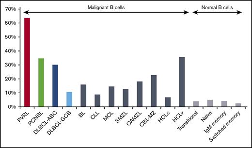 IGHV4-34 gene usage among malignant and normal B cells. The IGHV4-34 gene is used preferentially in many B-cell malignancies, but the bias in PVRL is the most important. Statistically significant differences were observed for comparisons between PVRL and all other malignant or normal B-cell populations (P < .001).20,38,39,44,47-50 BL, Burkitt lymphoma; CBL-MZ, clonal B-cell lymphocytosis of marginal zone origin; CLL, chronic lymphocytic leukemia; HCLc, hairy cell lymphoma classical type; HCLv, hairy cell lymphoma variant type; MCL, mantle cell lymphoma; OAMZL, ocular adnexa marginal zone lymphoma; SMZL, splenic marginal zone lymphoma.