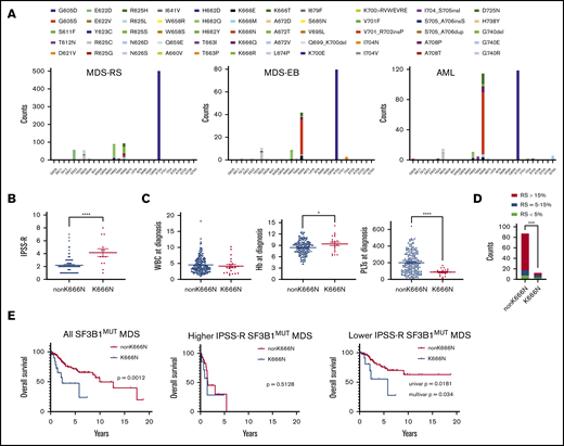 Clinicopathologic features of SF3B1K666N MDS. (A) The distribution of publicly available mutations in exons 14 and 15 of SF3B1 for MDS-RS, MDS-EB, and AML show enrichment of SF3B1K666N with increasing disease severity. Notably, E622D is absent in MDS-EB and AML, in contrast to MDS-RS. (B) In our cohorts, compared with patients with other SF3B1 mutations, SF3B1K666N patients exhibited higher IPSS-R scores. (C) SF3B1K666N patients had similar white blood cells counts (WBC; left panel), slightly higher hemoglobin levels (Hb; center panel), and lower platelets (PLTs; right panel). (D) SF3B1K666N patients had decreased RSs. (E) Among all SF3B1MUT patients, survival was shorter in those with SF3B1K666N (left panel). Survival was equally poor in both groups with higher IPSS-R MDS (middle panel), but lower IPSS-R SF3B1K666N patients had shorter survival (right panel). Univariate (Mantel-Cox) and multivariate (Cox regression including IPSS-R categories) P values are shown. *P < .05, ****P < .0001, 2-tailed Student t test. ***P < .001, χ2 test.