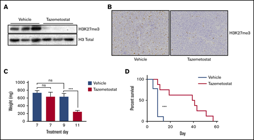 Tazemetostat was effective in the treatment of the HSTL PDX model. (A) Immunoblotting showing on-target activity of tazemetostat, with a decrease in H3K27me3. Total histones were extracted from mouse spleen samples after 7 days of treatment. (B) Immunohistochemistry for H3K27Me3 in mouse spleen samples; original magnification ×400. (C) Bar graph showing spleen weights from mice in the PD cohort (treated for 7 days, n = 3 per group), and mice who were moribund at day 9 (n = 6) and day 11 (n = 2). (D) Kaplan-Meier curves showing overall survival of mice treated with vehicle (n = 9) or tazemetostat (n = 8). ***P = .0007 calculated using the log-rank test. ns, not significant.