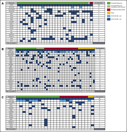 Mutational profiles of HMA + VEN, HMA, and IC (age >65 years) cohorts. HMA + VEN (A), HMA (B), and IC (C) cohorts harbored diverse mutational profiles with a median of 4 mutations per patient, including NPM1+. Commonly cooccurring mutations in the context of NPM1 mutations included FLT3-ITD, DNTM3A, IDH1, and IDH2. TET2 mutations were common in the HMA + VEN and HMA cohorts, likely reflective of the older age and the known association with DTA mutations.