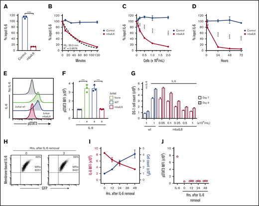 Functionality of mbaIL6. (A) Jurkat cells (2 × 106/mL) transduced with either GFP alone (“Control”) or GFP plus mbaIL6 were cultured for 2 hours with 1 ng/mL human IL-6; IL-6 in the supernatant was measured by ELISA. Mean (±SD; n = 3) is shown. ****P < .0001. (B) Cultures were set up as in panel A; IL-6 levels were measured after the indicated time. The dashed curve is the fitted exponential decay curve. Mean (±SD; n = 3) is shown. (C) Cultures were set as in panel A but with various Jurkat cell concentrations; IL-6 was measured after 2 hours. Mean (±SD; n = 3) for each cell concentration is shown. **P < .01; ***P < .001; ****P < .0001. (D) Cultures were initiated with 0.1 × 106 cells/mL Jurkat cells; cell numbers increased to 0.2 × 106/mL after 24 hours, 0.4 × 106/mL after 48 hours, and 1.0 × 106/mL after 72 hours. Mean (±SD) for each time point is shown (n = 3). **P < .01; ****P < .0001. (E) Jurkat cells (2 × 106/mL) nontransduced (“wt”) or transduced with mbaIL6 were cultured for 2 hours with 1 ng/mL IL-6. U937 cells were exposed to the supernatant for 15 minutes at 37°C. Representative flow cytometry histograms show labeling of U937 cells with anti-STAT3 pY705. (F) Mean (±SD; n = 3) STAT3 phosphorylation in U937 cells. ***P < .001. (G) Varying concentrations of Jurkat cells transduced with mbaIL6 were cultured with 1 ng/mL IL-6 for 2 hours. The supernatant was added to 0.2 × 106 DS-1 cells, which were counted after 7 and 9 days of culture. Mean (±SD; n = 3) is shown. (H) Jurkat cells expressing mbaIL6 were cultured with IL-6 (5 ng/mL) for 2 hours; after washing, cells were cultured for another 2 hours and periodically labeled with anti–IL-6 PE. Flow cytometry dot plots show levels of IL-6 bound to mbaIL6 cells. Sequential data of 2 experiments are given in supplemental Figure 2C. (I) Jurkat cells (1 × 106/mL) expressing mbaIL6 were cultured with IL-6 (5 ng/mL) for 2 hours; after washing, cells were cultured for another 48 hours and periodically labeled with anti–IL-6 PE. Graph shows mean fluorescence intensity (MFI) of IL-6 (red) plotted together with cell count (blue). Mean (±SD; n = 3) is shown. (J) Supernatant from cultures shown in panel I was added to THP-1 cells for 15 minutes at 37°C. STAT3 phosphorylation was measured as in panel E. HL, half-life.