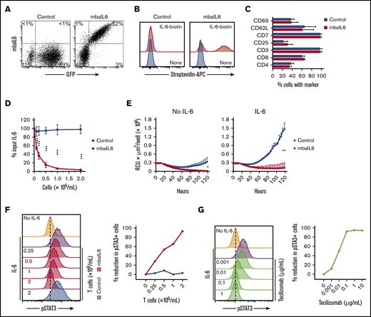 Functional consequences of IL-6 neutralization with mbaIL6-T cells. (A) mbaIL6 and GFP expression in peripheral blood T cells transduced with either GFP alone (“Control”) or GFP plus mbaIL6, after labeling with biotin-conjugated goat anti-human F(ab′)2 antibody and streptavidin-APC. (B) IL-6 binding to Control or mbaIL6-transduced peripheral blood T cells, labeled with IL-6 biotin and streptavidin-APC. (C) Cell marker profile of Control or mbaIL6-transduced T cells from 3 donors. Mean (±SD) of percent T cells expressing each marker is shown. (D) Control or mbaIL6-transduced T lymphocytes at the indicated concentrations were cultured for 2 hours with 1 ng/mL human IL-6; IL-6 in the supernatant was measured by using ELISA. Mean (±SD; n = 3) is shown. ***P < .001. (E) DS-1-mCherry cells were cocultured with Control or mbaIL6-transduced T cells at a 1:1 ratio, with IL-6 (0.5 ng/mL). DS-1 proliferation was quantitated by using the IncuCyte Live Imaging System; shown are mean (±SD) of red calibrated units (RCU) × μm2/well in triplicate measurements. *P = .02; **P < .01 for data at 120 hours. (F) Control or mbaIL6-transduced T lymphocytes at the indicated concentration were cultured for 2 hours with 1 ng/mL IL-6. THP-1 cells were then exposed to either 1 ng/mL IL-6 or to the supernatant of the lymphocyte cultures for 15 minutes at 37°C. Flow cytometry histograms show labeling of THP-1 cells with anti-STAT3 pY705; the graph on the right shows the decrease in pSTAT3 relative to that of THP-1 cells exposed for 15 minutes to 1 ng/mL IL-6. (G) THP-1 cells were exposed to IL-6 for 15 minutes, after 30-minute incubation with the indicated concentrations of tocilizumab. Cells were then labeled with anti-STAT3 pY705 and analyzed as in panel F.