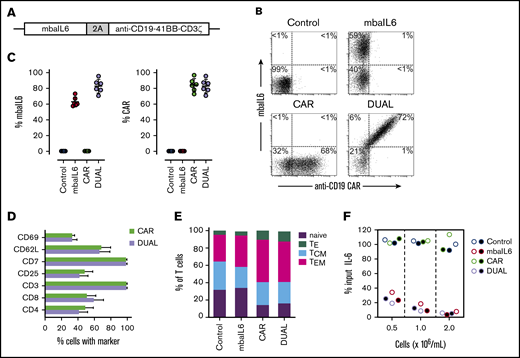 Design, expression, and IL-6–neutralizing capacity of a bicistronic construct encoding mbaIL6 and anti-CD19 CAR. (A) Schema of the plasmid encoding both receptors (“DUAL”). (B) mbaIL6 expression in peripheral blood T cells transduced with either GFP alone (“Control”), GFP plus anti-CD19 CAR, mbaIL6, or both; cells were labeled with biotin-conjugated goat anti-human F(ab′)2 antibody and streptavidin-APC, and CD19-myc followed by PE-conjugated anti-myc. Expression of each receptor in relation to GFP is shown in supplemental Figure 4. (C) Aggregate data of mbaIL6 and CAR expression from 6 transductions with T cells from 6 donors. Mean (±SD) is shown. (D) Cell marker profile of CAR or DUAL-transduced peripheral blood T cells. Mean (±SD; n = 3) percent T cells expressing each marker is shown. (E) Proportion of naive (CD45RA+ CCR7+), effector (TE, CD45RA+ CCR7‒), central memory (TCM, CD45RA‒ CCR7+), and effector memory (TEM, CD45RA‒ CCR7‒) phenotypes among T cells transduced with the various constructs (mean of 3 experiments). (F) T lymphocytes transduced as in panels B and C were cultured with 1 ng/mL IL-6. After 2 hours, IL-6 levels in the supernatant were measured by using ELISA. Symbols indicate results of 2 independent experiments.