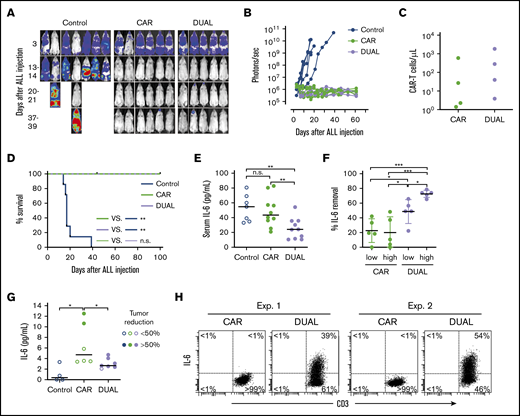 CAR–T cells expressing mbaIL6 quench IL-6 and exert antileukemia activity in xenograft models. (A) NOD/scid-IL2RGnull mice were injected IV with 0.5 to 1 × 106 Nalm-6-luciferase cells. On day 3, mice were given T cells expressing either anti-CD19 CAR alone (85% CAR expression) or mbaIL6 plus CAR (“DUAL”; 79% CAR expression) (20 × 106/mouse IV); all mice received 20 000 IU IL-2 IP every 2 days. Ventral images from the Xenogen IVIS-200 system after D-luciferin injection are shown (captured with enhanced sensitivity on day 3 to visualize Nalm-6 engraftment; full set of ventral and dorsal images is shown in supplemental Figure 7). (B) Luminescence measurements (photons per second) in the mice. Each point corresponds to a measurement in 1 mouse. (C) Levels of GFP+ CD3+ CAR–T cells in blood 50 days after CAR–T cell injection in a subset of the mice. (D) Kaplan-Meier curves of overall survival for the mice shown in panel A, euthanized when the total bioluminescence signal reached 1 × 1010 photons/second. **P < .01 by log-rank test. (E) T cells expressing either anti–CD19 CAR or anti–CD19 CAR plus mbaIL6 were injected IV in NOD/scid-IL2RGnull mice (2-10 × 106/mouse); 3 days later, 50 ng of human IL-6 was injected IP. After 2 hours, mice were euthanized, and serum was collected by cardiac puncture to measure levels of human IL-6 by using ELISA. Each symbol corresponds to data from 1 mouse; bars show mean (±SD). **P < .01. (F) Mice from the experiments shown in panel E were divided according to the number of T cells that were administered: 2 to 4 × 106 (“low”) and 5 to 10 × 106 (“high”). Values correspond to the percentage of IL-6 that was removed from serum in each mouse, using as a reference the mean value of IL-6 measured in mice that received IL-6 with no prior injection of T cells. *P = .035 for CAR low vs DUAL low, P = .045 from CAR high vs, DUAL low, P = .013 for DUAL low vs DUAL high; ***P < .001. (G) Daudi-luciferase cells were injected IP in NOD/scid-IL2RGnull mice (20 × 106/mouse), followed 3 days later by THP-1 and/or T cells IP (20 × 106 for both cell types). Tumor engraftment was measured by in vivo imaging (supplemental Figure 8). Mice were euthanized 48 hours after THP-1 and/or T-cell injection. Symbols show IL-6 levels measured by using ELISA in peritoneal lavage, according to percentage of tumor reduction. *P = .032 for CAR vs no T cells; P = .046 for CAR vs DUAL. (H) IL-6 binding to T cells from the peritoneal lavage of 4 mice, 2 injected with CAR–T cells and 2 injected with T cells expressing both CAR and mbaIL6. Cells were stained with anti-mouse CD45-PE-Cy7, anti-human CD45-PerCP, anti-human CD3-APC, and anti-human IL-6-PE; the plots show selectively gated mouse CD45–, human CD45+, and human CD3+ cells.