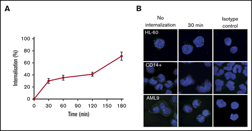 Internalization of DCR-2. (A) Internalization kinetics of DCR-2 on HL-60 (% internalized = relative MFI of total − relative MFI of surface staining). (B) Immunofluorescent microscopy of HL-60, CD14+ monocytes, and primary AML at 0 minutes (no internalization) and 30 minutes showing internalization of CD300f detected by LMIR-3 antibody. Isotype control shown is at 30 minutes. Images were taken at 63× magnification using a 63× HC PL APO CS2 NA 1.40 lens.