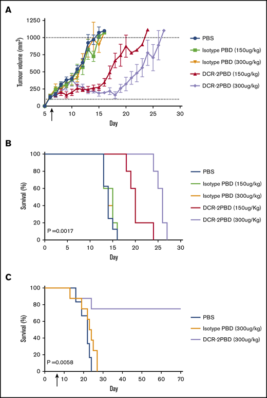DCR-2-PBD prolongs survival in AML cell line mouse models. (A) U937 subcutaneous tumor volume of mice treated with a single injection on day 6 with either PBS (n = 8) or isotype-PBD (n = 5 both groups) or DCR-2-PBD (n = 5 both groups). (B) Survival data from mice injected with U937 subcutaneously (P = .0017 DCR-2-PBD 300 μg/kg compared with isotype-PBD 300 μg/kg). (C) Mice injected with HL-60 IV then treated day 7 with PBS (n = 6), isotype-PBD (n = 8), or DCR-2-PBD (n = 8) (P = .0058 DCR-2-PBD vs isotype-PBD).