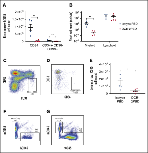 DCR-2-PBD depletes HSPCs in vivo. (A) Total cell count of CD34+ and CD34+ CD38−CD90+ cells in humanized NSG mouse BM 7 days after injection of DCR-2-PBD (n = 6) or isotype-PBD (n = 5) (**P < .01 reduction in CD34+ and CD34+ CD38−CD90+ cells in the DCR-2-PBD cohort compared with the isotype control cohort). (B) Cell count per microliter of blood from DCR-2-PBD and isotype-PBD treated humanized mice (**P < .01 reduction in myeloid cells in PB of DCR-2-PBD cohort compared with isotype-PBD cohort). (C-D) Representative plots of human CD45+ cells in the BM of a control humanized mouse (C) and a DCR-2-PBD treated humanized mouse (D). (E) BM enumeration of primary AML 6 days after injection of mice treated with isotype-PBD and DCR-2-PBD (n = 6 DCR-2-PBD, n = 5 isotype-PBD) (*P < .05 reduction of primary AML cells in BM, DCR-2-PBD cohort compared with the isotype-PBD cohort). (F-G) Representative plots of mouse CD45 vs human CD45 cells in mice engrafted with primary AML treated with isotype-PBD (F) and DCR-2-PBD (G).