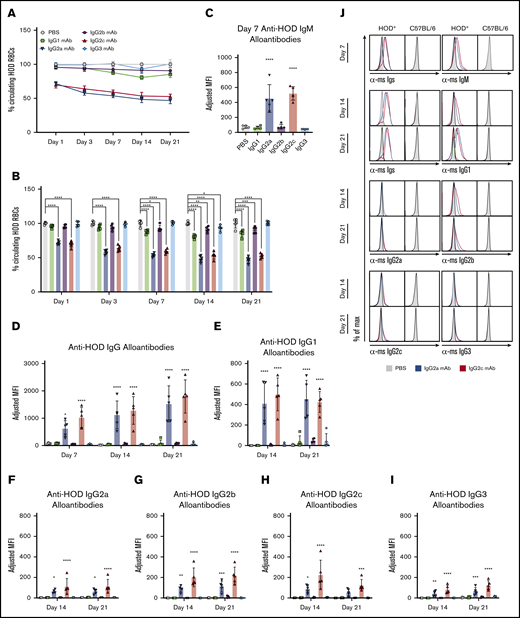 Passive immunization with anti-HOD mAb IgG2a or IgG2c enhances alloantibody production upon HOD RBC transfusion. Recipient mice received a passive immunization of individual anti-HOD mAb subtypes followed by an RBC transfusion. RBCs and sera were collected at multiple time points over 21 days. (A) The survival of allogeneic HOD RBCs, as a function of control B6 RBCs, was calculated. (B) The percentage of circulating HOD RBCs was determined. The percentage of HOD RBCs in PBS-treated animals were normalized to 100% across all time points. Sera were analyzed by flow crossmatch against HOD and control B6 RBCs for IgM (C), Igs (D), IgG1 (E), IgG2a (F), IgG2b (G), IgG2c (H), and IgG3 (I) anti-HOD alloantibodies. (J) Representative flow plots of flow crossmatch data are provided. Each experiment was performed 3 times with 3 to 5 mice per group. Representative data are shown. Data were analyzed with a repeated measures 2-way ANOVA with Dunnett multiple comparisons to PBS-treated animals. *P ≤ .05, **P ≤ .01, ***P ≤ .001, ****P ≤ .0001.