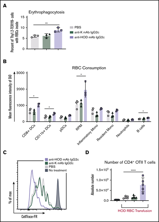 Anti-HOD mAb IgG2c leads to enhanced T-cell proliferation and increases RBC consumption by DCs. To evaluate RBC consumption, B6 mice were passively immunized followed by a DiO+ HOD RBC transfusion. Spleens were harvested 18 to 24 hours posttransfusion and leukocytes were stained to delineate cell subsets. The percent erythrophagocytosis of total Thy1.2−TER119− leukocytes was determined (A) and the DiO MFI of individual APC subsets was calculated (B). To assess whether passive immunization modulated T-cell responses, B6 mice were adoptively transferred with 1 × 105 purified CD4+ OTII T cells labeled with CellTrace-far-red (FR). The next day, recipient mice were passively immunized with PBS, nonspecific anti-K mAb IgG2c, or anti-HOD mAb IgG2c followed by a HOD RBC transfusion. CellTrace-FR dilution (C) and absolute number (D) was determined for CD4+Va2+Vb5+Thy1.1+ OTII T cells 3 days posttransfusion. Each experiment was performed 3 times with 3 to 5 mice per group. Representative data are shown. Data were analyzed with a 1-way ANOVA with Dunnett’s multiple comparisons test to the control PBS group. *P ≤ .05, **P ≤ .01, ****P ≤ .0001.