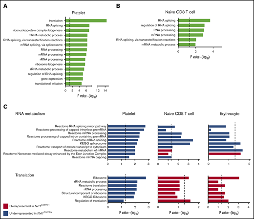 C587R-mutant hematopoietic cells have altered representation of transcripts encoding RNA metabolism and translation regulators. (A) 14 most significant gene sets identified by Gene Ontology (GO) analysis done on genes underrepresented in C587R/+ platelets compared with +/+ control cells. The dotted line represents the statistical significance at P = .02. (B) Six gene sets identified by GO analysis performed on underrepresented genes in cytoplasmic fraction of C587R/+ naive CD8 T cells. These genes sets were also among the 14 most significant in platelets. The dotted line represents the statistical significance at P = .02. (C) Rotation gene set testing (ROAST) analysis using independent gene sets specific for RNA metabolism, mRNA splicing, and translation on platelets, naive CD8 T cells, and RBCs. The dotted line represents the statistical significance at P = .02. KEGG, Kyoto Encyclopedia of Genes and Genomes; rRNA, ribosomal RNA.