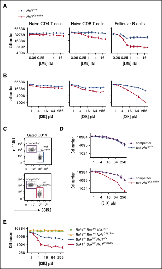 The C587R mutation sensitizes lymphocytes to translation inhibition. (A) FACS-sorted lymphocytes were submitted to various concentrations of LMB (A) or CHX (B) for 24 hours. Representative experiment of 2. Each point is the average of 3 technical replicates and bar represents standard deviation. (C) Mixed BM chimeras were set up as shown for Figure 4C. Representative FACS plot showing chimerism in the B-cell compartment: WT CD45.1+ “competitor cells” together with either WT (top panel) or C587R/+ mutant CD45.2+ “test cells” (bottom panel). (D) Increased sensitivity to translation inhibition is intrinsic to C587R-mutant Fo B cells. Representative experiment of 2. Each point is the average of 3 technical replicates and bar represents standard deviation. (E) Loss of Bax and Bak1 in B cells masks the deleterious effect of the C587R mutation in response to translation inhibition. Representative experiment of 2. Each point is the average of 3 technical replicates and bar represents standard deviation.