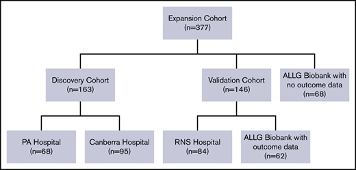 Consort diagram outlining patients with DLBCL with tissues tested for gene expression. The discovery cohort consisted of 163 patients with histologically confirmed DLBCL from the Princess Alexandra (PA) Hospital (n = 68), and the Canberra Hospital (n = 95) identified from a prospectively maintained clinical lymphoma database. All patients received chemoimmunotherapy with R-CHOP and otherwise were selected solely by availability of formalin-fixed paraffin-embedded tissue for RNA extraction and clinical annotation (including survival data). Findings were validated in an independent cohort of 146 patients treated with R-CHOP. This contained cases identified at the Royal North Shore (RNS) Hospital, Sydney (n = 84) from a prospectively maintained clinical lymphoma database and 62 patients from the Australasian Leukaemia and Lymphoma Group (ALLG) Biobank for whom outcome data were available. For the expansion cohort (used for association and correlation analysis), discovery and validation tissues (n = 309) were combined with 68 de novo DLBCL samples from the ALLG Biobank for which baseline clinical information and tissue data, but not outcome data, were available (total 377 tissues).