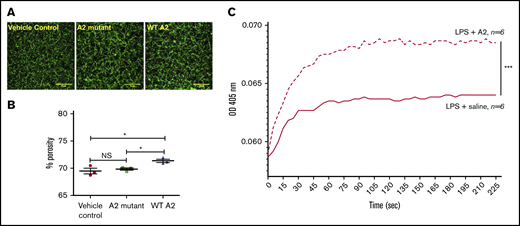 The A2 protein in endotoxemic mice modulated fibrin formation ex vivo. (A-B) Confocal images of the fibrin structure in endotoxemic plasma collected at 2 hours after the injection of the A2 variants or vehicle control were analyzed using ImageJ. (A) Notably, larger pores were observed in the resultant fibrin clot in plasma from mice treated with the WT A2 protein (right) in comparison with mice treated with vehicle control or the A2 mutant (left or middle, respectively; n = 3 unpaired subjects). Representative of 3 experiments using 3 different mice per group. Scale bars, 10 μM. (C) Plasma samples from LPS-treated mice were obtained at 2 hours after IP injection of A2 protein (4.0 mg/kg) or saline. Fibrin polymerization was measured by turbidity at 405 nm. Turbidity curves represent the average of 6 separate experiments for each condition tested: with A2 protein or saline. *P = .036 vs control or mutant, ***P < .0001. NS, not significant.