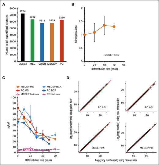 Proteomic analysis shows that the overall cellular histone content does not decrease during TED. (A) The number of quantified proteins in the different cellular models; the number of proteins with a LFQ value in at least 1 differentiation stage is indicated. (B) Evolution of the histone/DNA ratio in MEDEP cells during TED. Arbitrary histone quantification values were obtained by summing the LFQ values for all histone proteins. DNA values were obtained from optical density 260 (OD260) of deoxynucleotides after DNase digestion of DNA, as previously described23 and as set forth in the supplemental Methods. At each time, the ratio (arbitrary histone LFQ quantification/DNA OD260) was calculated and ratios at each differentiation time were expressed relative to this ratio at T0. (C) Protein quantification using either histones or total cellular protein content as the reference. Total cellular protein content was calculated using the BCA colorimetric assay from 1 million cells (BCA curves) or using the MS LFQ values and a standard histone value of 5.5 pg per cell as reference (MS curves). The histone curves were calculated by using the MS LFQ values and the total cellular protein content determined using the BCA colorimetric assays as the reference. The standard deviation labels of histones curves are smaller than the symbols at each point. (D) Protein quantification at the end of TED using MS LFQ values and either total cellular protein amounts determined by BCA assay (panel C; BCA curves), histones or globins as the reference. A standard histone value of 5.5 pg per cell was used for protein quantification with histones as the reference. Cellular globin contents for MEDEP and primary cells (PCs) were calculated using the heme quantification values presented in supplemental Figure 2G. Red lines display theoretical perfect correlation. Error bars represent the standard deviation of 3 (MEL, G1ER, or MEDEP cells) or 4 independent experiments (PCs, panel D; and MEDEP cells, panel B).