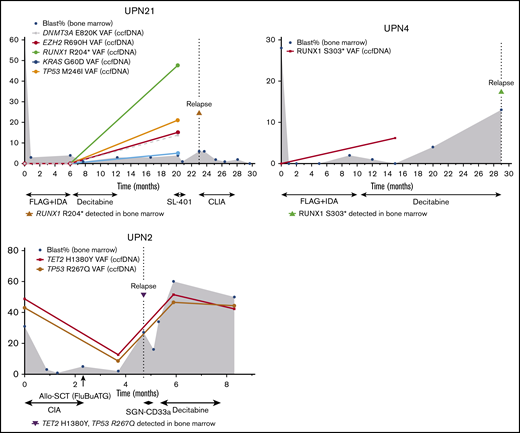 Three cases in which new or persistent mutations detected by ccfDNA predicted subsequent relapse. In cases UPN21 and UPN4, new mutation(s) detected by ccfDNA while in remission preceded overt morphologic relapse. In case UPN2, persistent mutations after allogeneic stem cell transplant were detected 1 month prior to morphologic relapse. Treatment regimens are shown below the x-axis. The y-axis represents percentage of bone marrow blasts and VAFs in the ccfDNA and/or bone marrow. The solid line represents ccfDNA VAFs over time. The dotted vertical line represents the time of relapse. The shaded gray area represents bone marrow blasts over the course of therapy and monitoring. CLIA, cladribine, idarubicin, and cytarabine; FLAG+IDA, fludarabine, cytarabine, granulocyte-stimulating factor, and idarubicin.