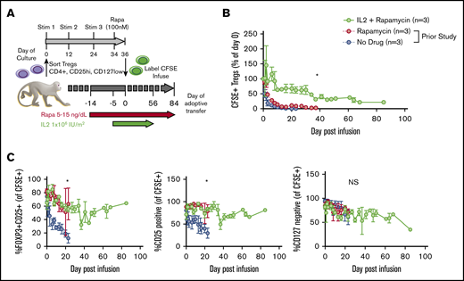 IL-2 affords additional prolongation of the half-life of adoptively transferred Tregs compared with rapa alone. (A) Experimental schema. (B) Longitudinal frequency of CFSE+ Tregs expressed as a percentage of the 1-hour postinfusion measurement. Tregs were defined as CD3+, CD4+, CD2+, and FOXP3+. *P < .05, percentage of CFSE+ Tregs IL-2+rapa vs rapa using repeated-measures analysis of variance (ANOVA). (C) Percentage of all CFSE+ cells that are positive for both CD25 and FOXP3 (left), CD25 only (middle), and negative for CD127 (right). *P < .05, IL-2+rapa vs rapa using repeated-measures ANOVA. NS, not significant.