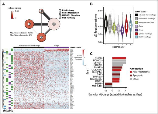 Highly activated transferred Tregs express high levels antiproliferative and apoptotic genes. (A) Network diagram of pathway terms from the Hallmark gene set43 enriched in DE gene list up in activated-like transferred Tregs vs aTregs (top). Expression values of genes from pathways in panel A (top) in activated-like transferred Tregs and aTregs (bottom). (B) p53 target49 gene-set scores by UMAP clusters from Figure 4B. (C) Top p53 target genes DE between activated-like transferred Tregs and aTregs manually annotated as antiproliferative, apoptotic, proliferative, antiapoptotic, or other.