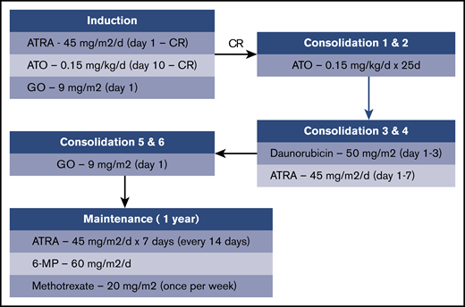 Treatment schema. CR, complete response; 6-MP, 6-mercaptopurine.