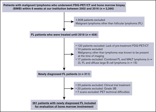 Patient cohort. MALT, mucosa-associated lymphoid tissue.