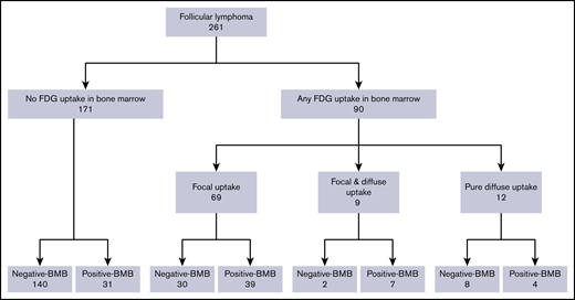 Case distribution of BM status assessed by FDG-PET/CT and BMB.